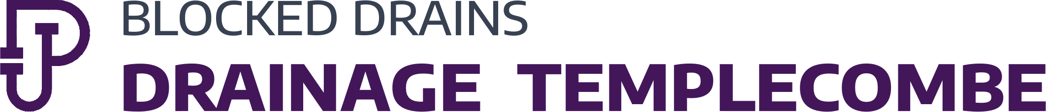 website logo